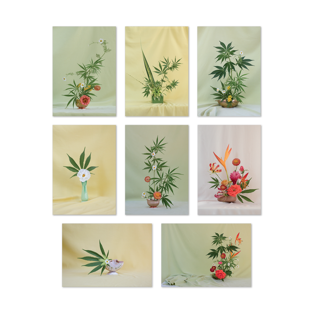 Cards | HI BOOKS